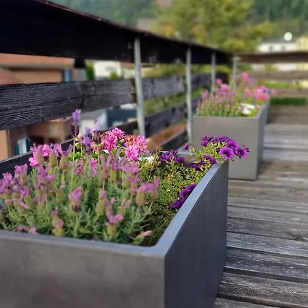 Ruhige Stadtwohnung, 107 M2 *